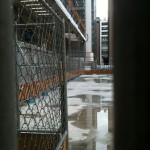 土台なのかな…?
コンクリっぽい地面が…。